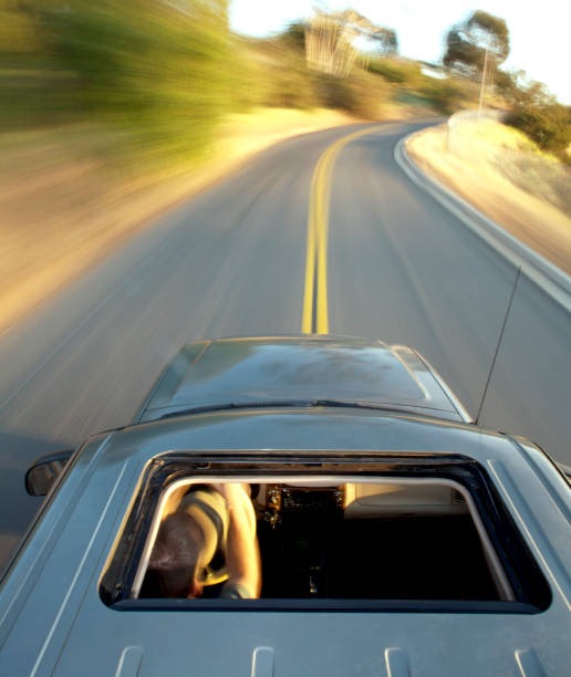 광복절-특사-음주운전-발표