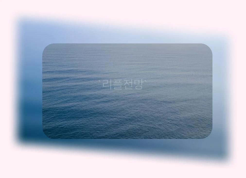 리플전망_1_subsection