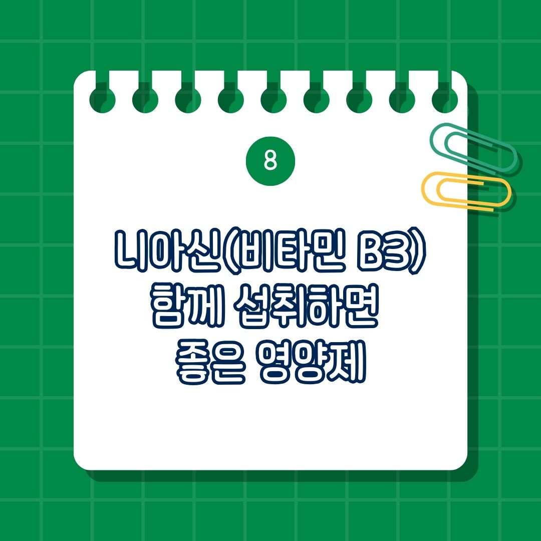 니아신(비타민 B3) 함께 섭취하면 좋은 영양제, 함께 복용하면 도움 되는 영양제, 같이 먹으면 좋은 영양제