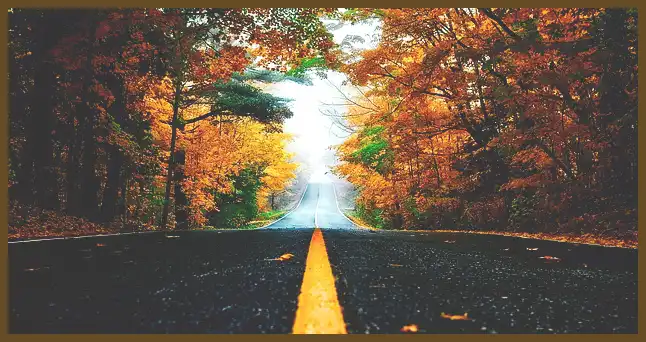 서울 근교 단풍 명소 (지금이 단풍 절정시기)