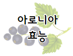 이 이미지를 클릭 하시면 구기자 만큼이나 건강에 좋은 아로니아 효능에 관한 포스팅으로 이동 됩니다.
