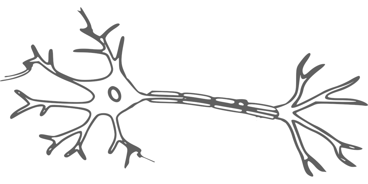 한국인 뇌건강 전략 포스터