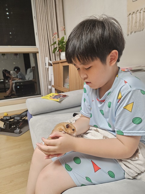 골든햄스터 핸들링