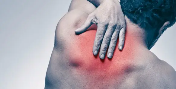 목과 상부 등(상부 척추)