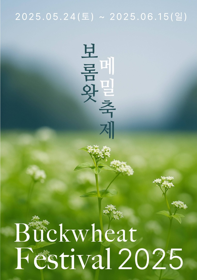 보롬왓 메밀축제