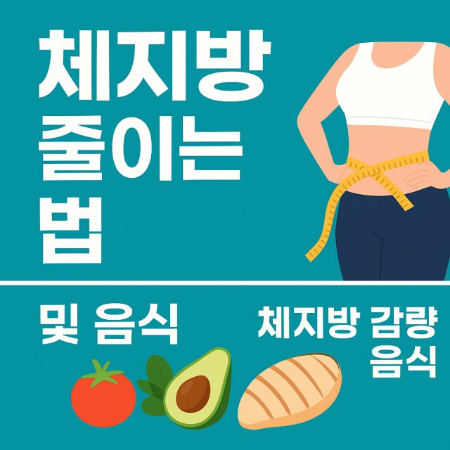 체지방 줄이는 법과 좋은 음식, 피해야 할 음식을 설명하는 건강 관리 대표 이미지