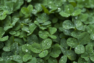 2024 장마 예상 기간