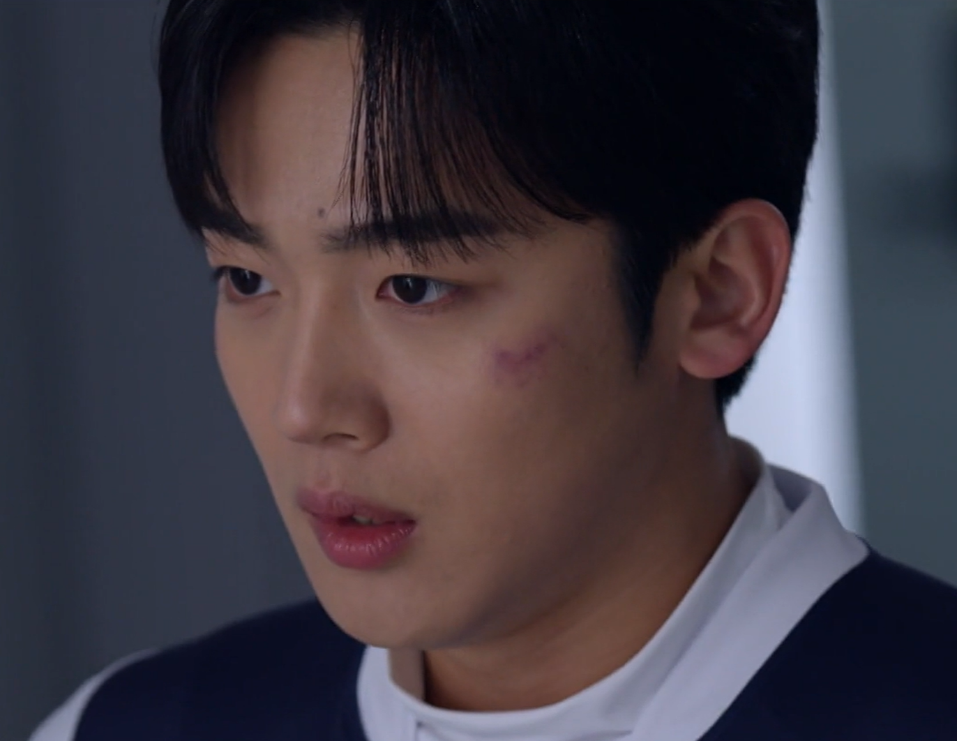 트라이 드라마 출연진