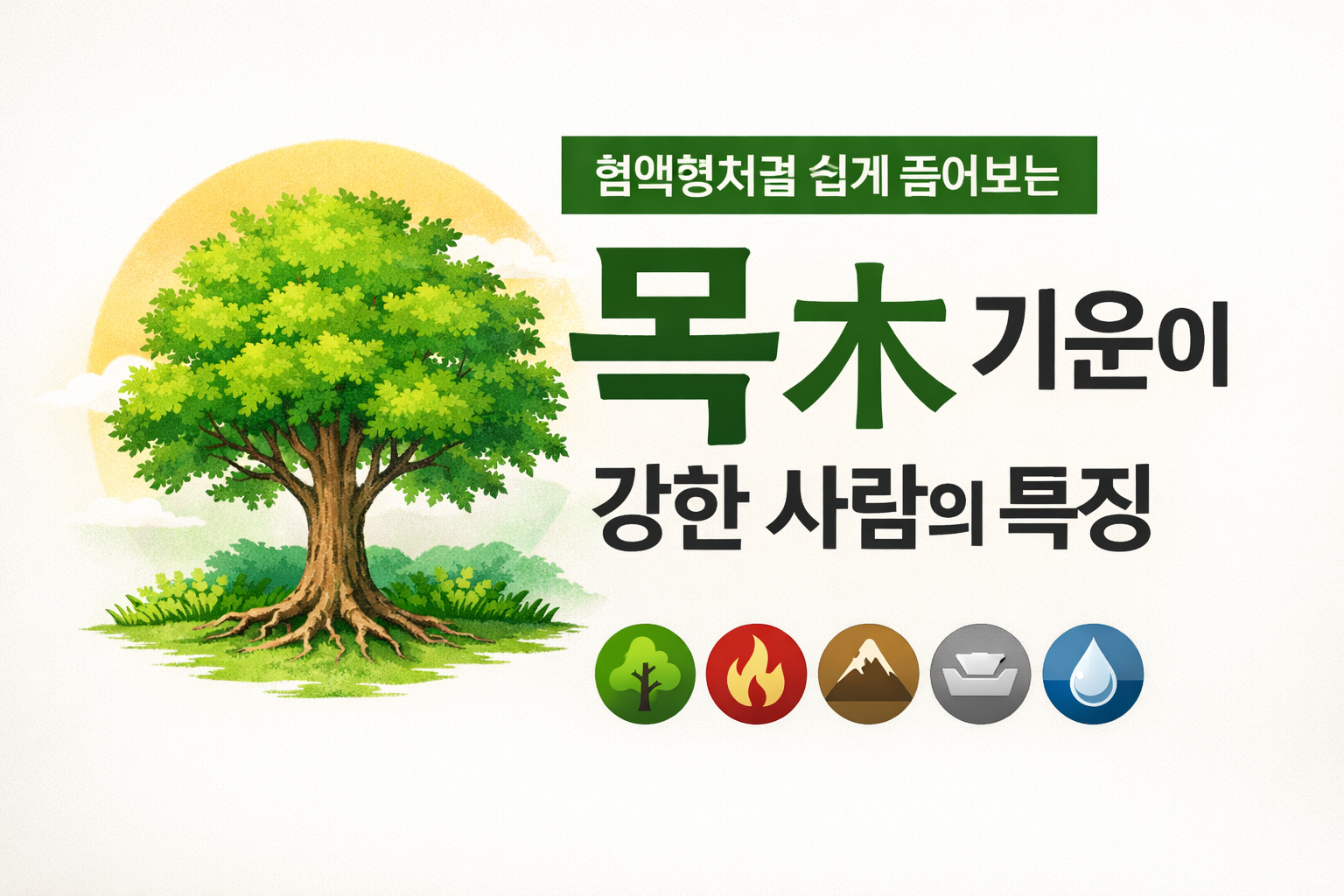 혈액형처럼 쉽게 이해하는 오행, 목(木) 기운이 강한 사람의 특징을 표현한 심플한 나무 일러스트 썸네일