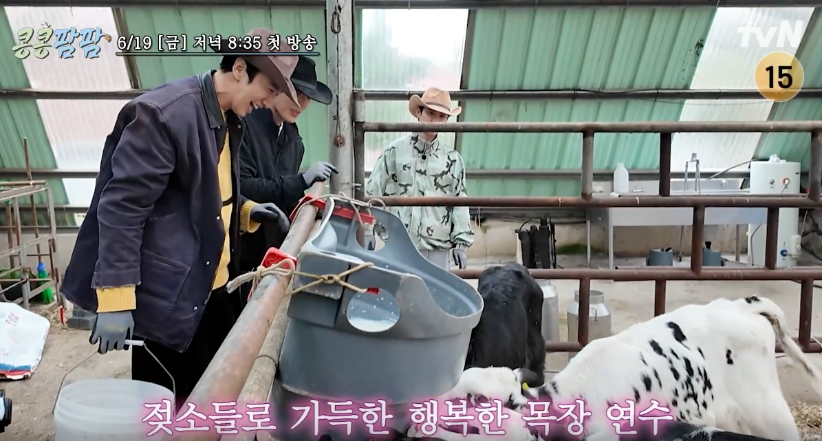 콩콩팜팜