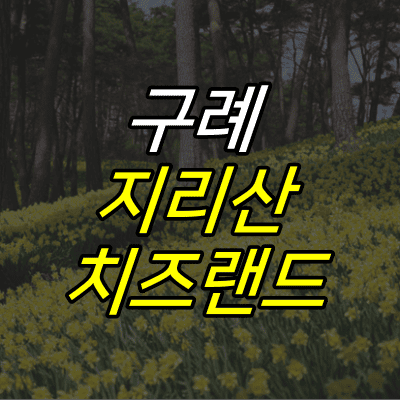 만개한-수선화밭-사진-위에-구례-지리산-치즈랜드-글자가-적혀있다.