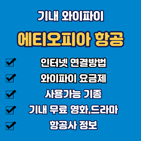 에티오피아 항공 기내 와이파이
