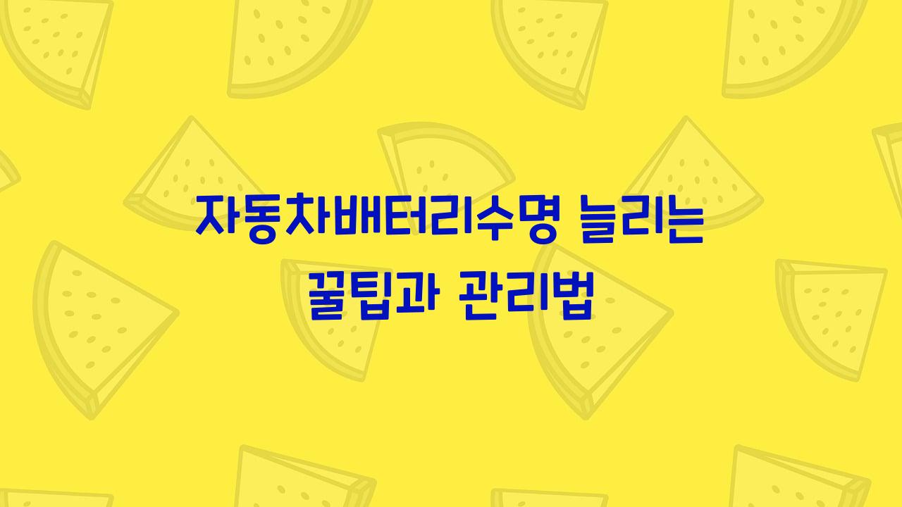 자동차배터리수명