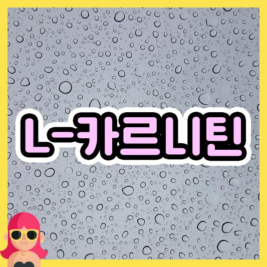 섬네일 L-카르니틴