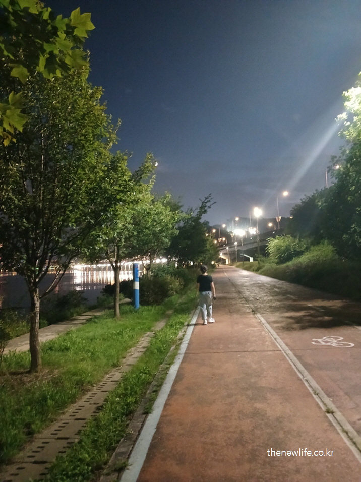 강변길을 따라 저녁 시간에 걷는 사람들의 모습, 가로등 불빛과 강 풍경이 어우러진 걷기 코스