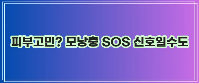 모낭충 없애는 방법 확실하게 알아봐야죠