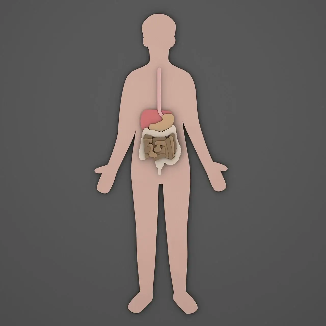 블루베리 효능 부작용
