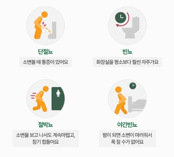전립선 비대증 치료