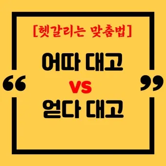 어따대고 얻다대고 맞춤법 맞는 표현_2