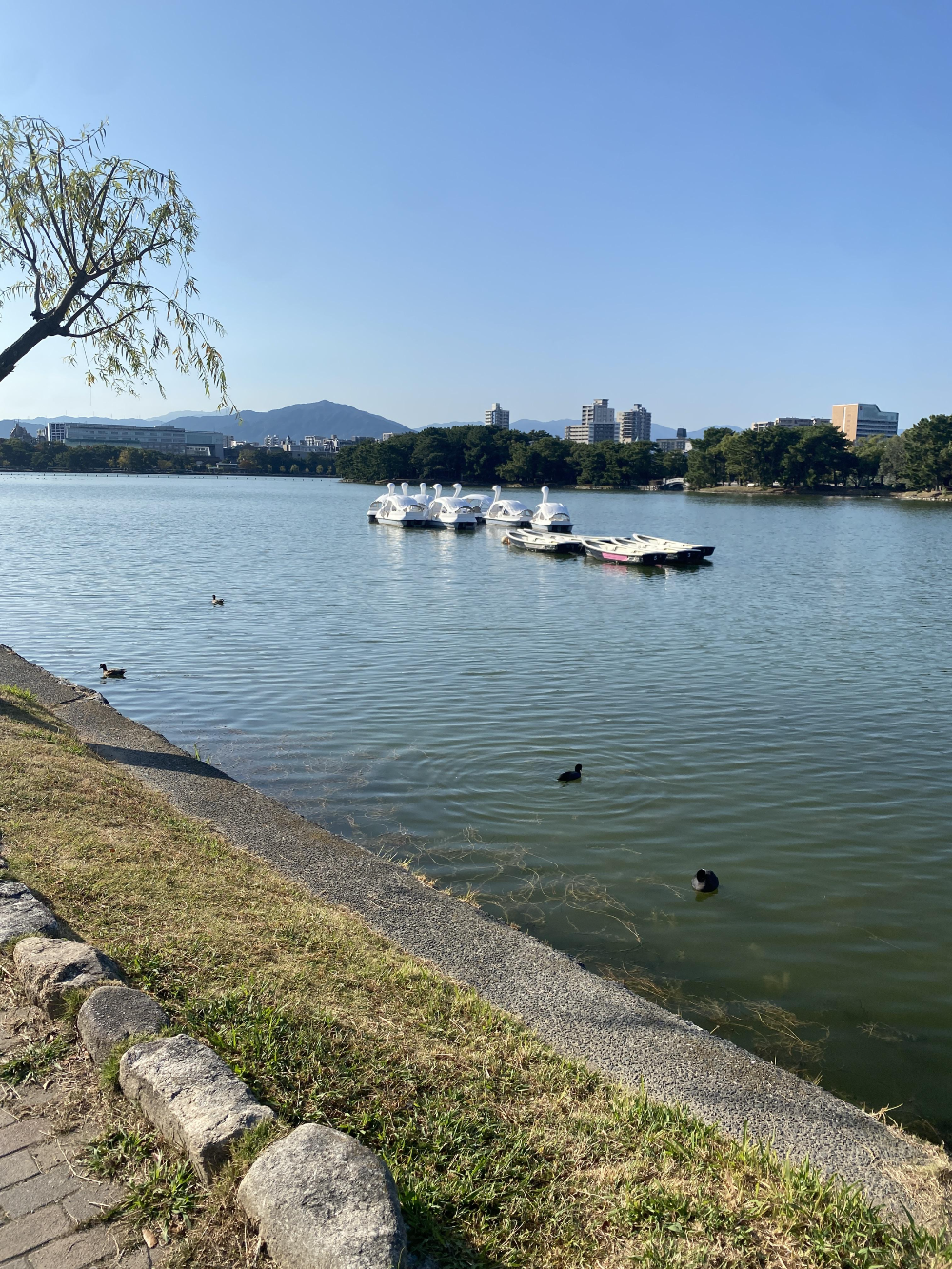 후쿠오카 오호리 공원