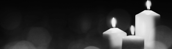 보람상조, 예다함 상조 등