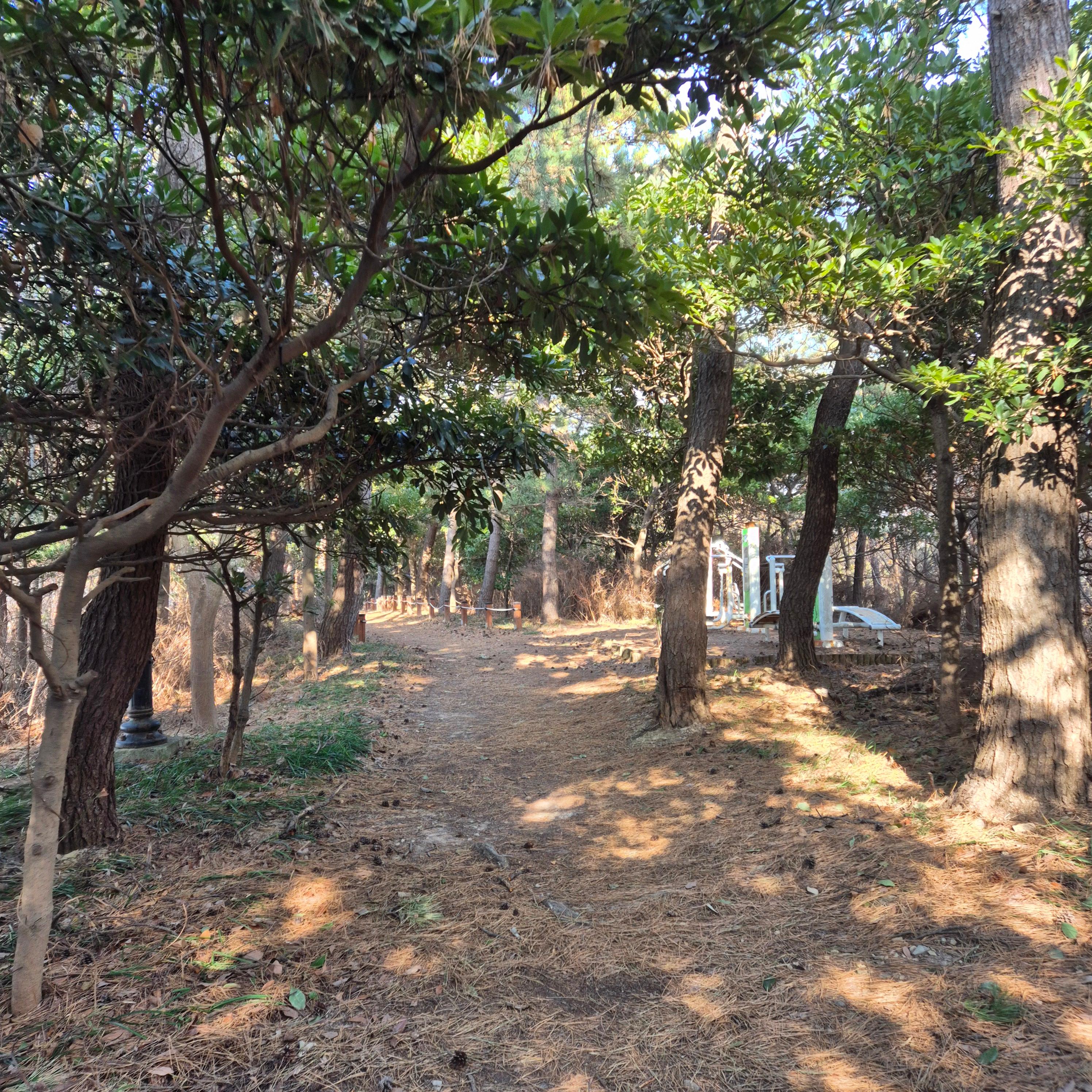 개인회생신청조건, 개인회생자격요건, 개인회생채무한도, 개인회생소득조건, 개인회생필요서류, 개인회생신청절차, 개인회생변제능력, 개인회생제외대상, 개인회생성공조건, 개인회생준비사항, 개인회생신청방법, 개인회생자격심사, 개인회생요건확인, 개인회생조건체크, 개인회생신청자격