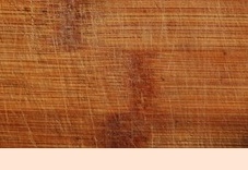 장이 부었을때 증상