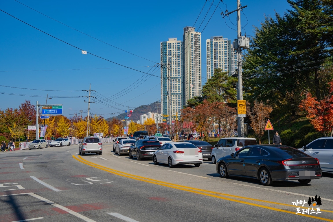 춘천 마라톤 돌아가는길
