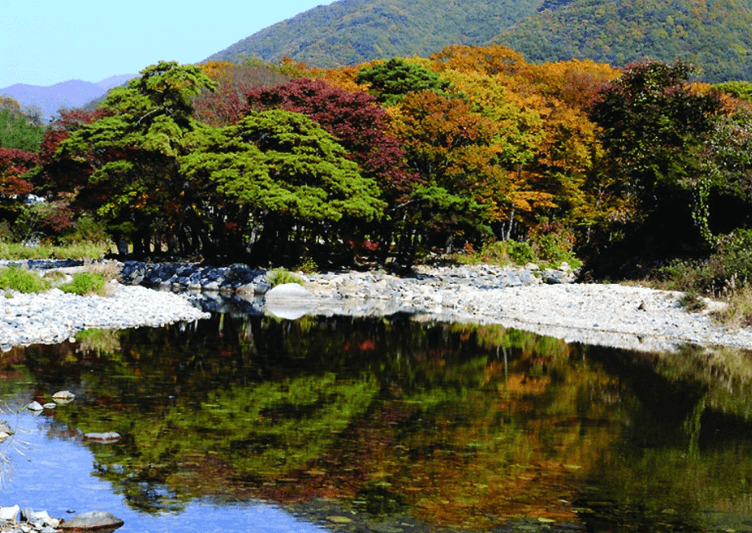 양산 배내골