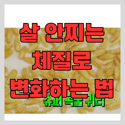 살 안 찌는 체질로 몸 바꾸는 법 - 귀리효능, 오트밀 썸네일