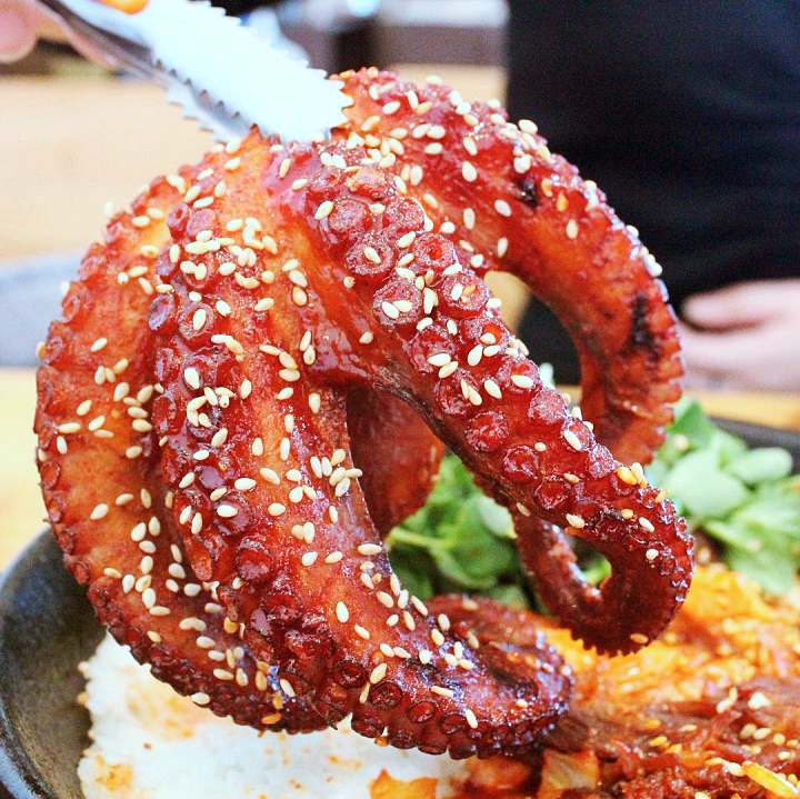 생생정보 돌문어덮밥 맛집