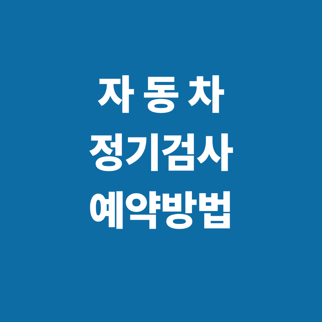 2025 차량 정기검사 예약 방법