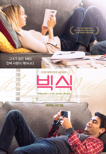 영화 빅식 포스터