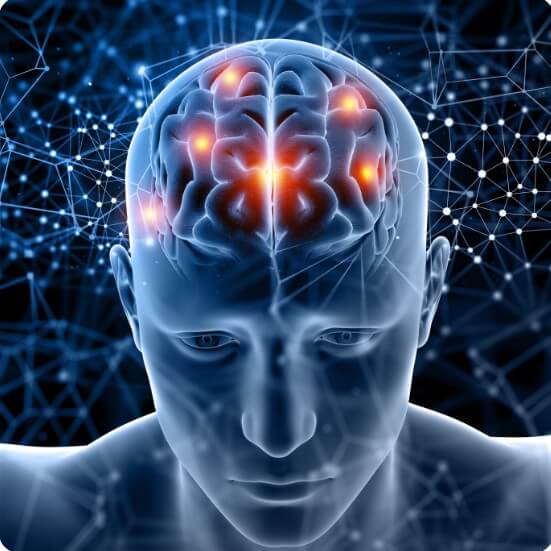 사람의 뇌신경