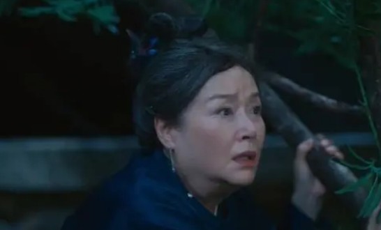 중드 안심기 39화 줄거리 결말