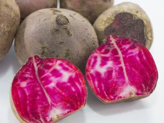 반으로 자른 비트