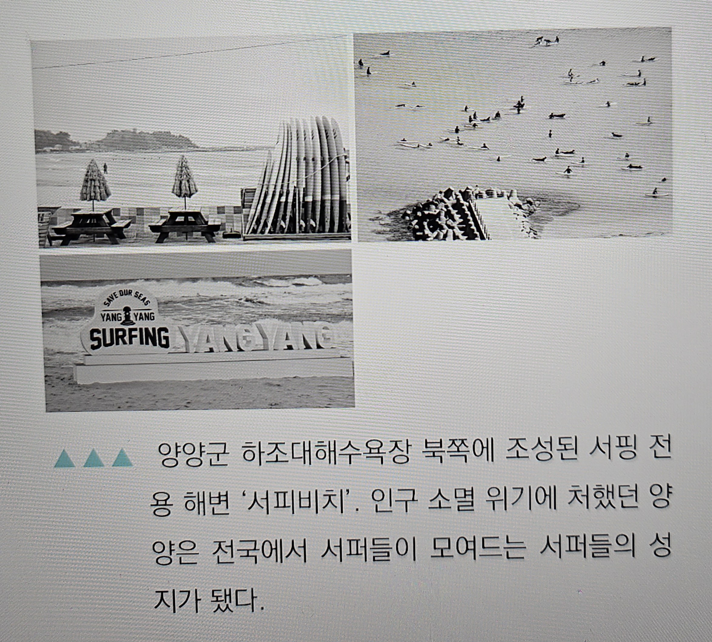 양양의 시그너처스토어 - 서피 비치