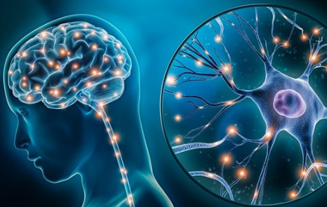 신경과 신경외과 차이