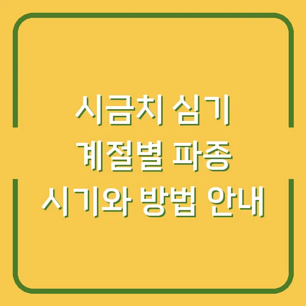 시금치 심기 계절별 파종 시기와 방법 안내