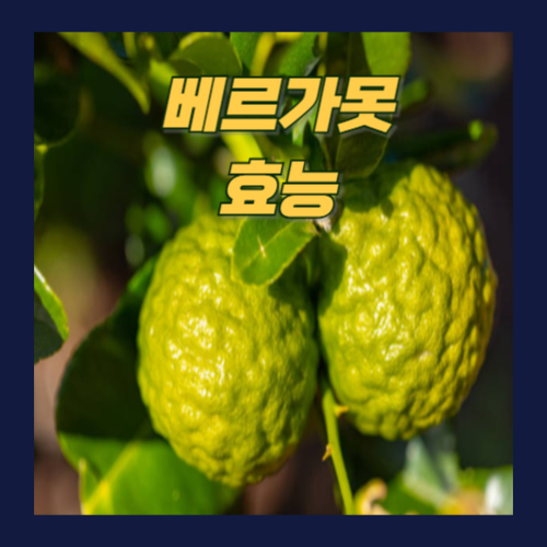 베르가못 효능