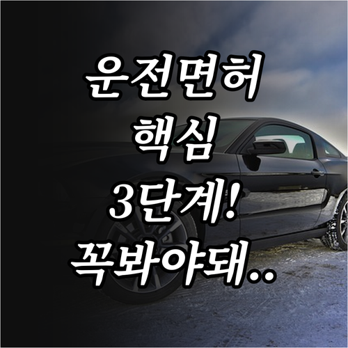 온라인으로 운전면허 시험 예약하는 3..