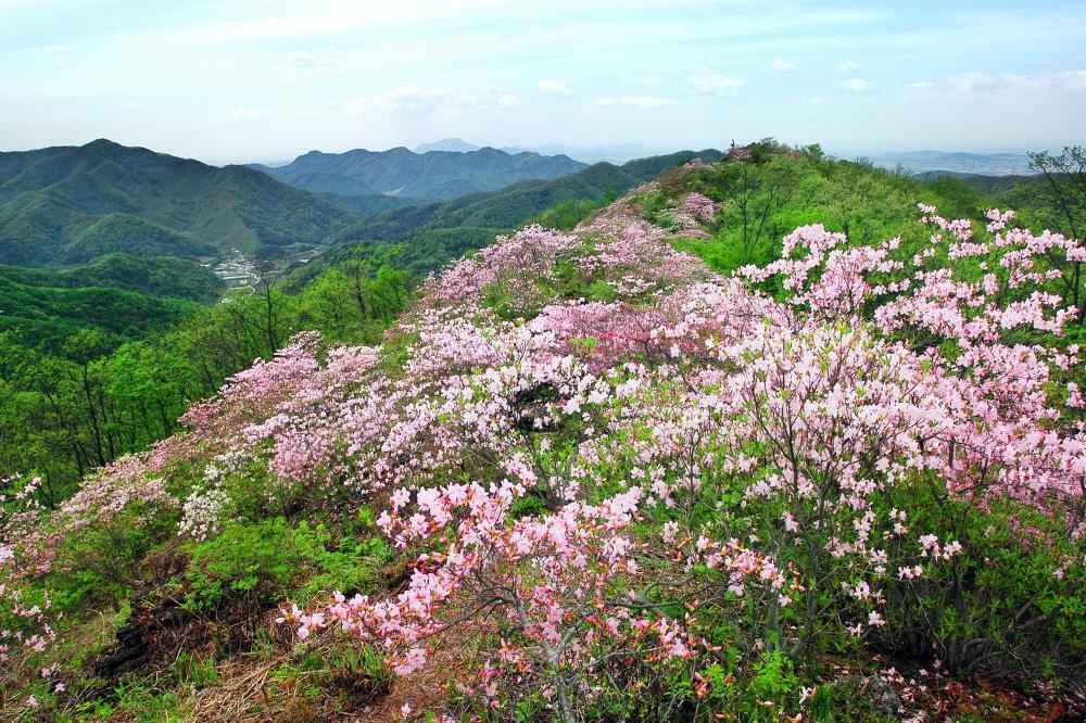 순천 국사봉
