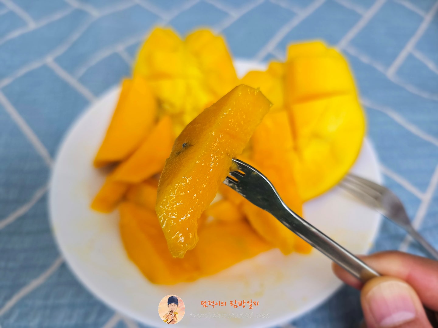 [수플린] 새콤달콤 프리미엄 고당도 애플망고 총 2.1KG 이상 (4~6입/로얄과)