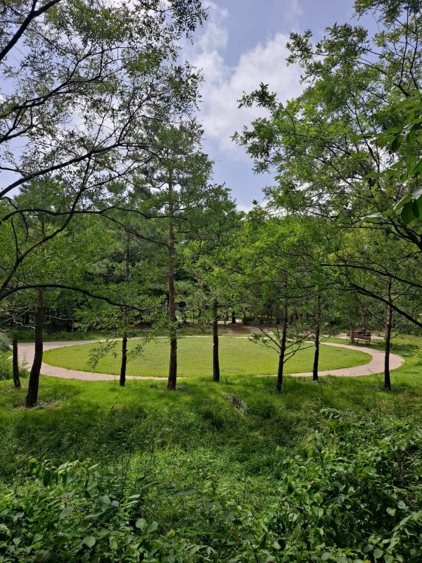 시민의숲 원형 잔디