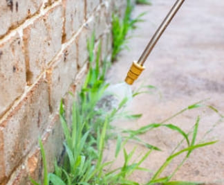 자궁근종 증상과 자궁근종 명의 서울