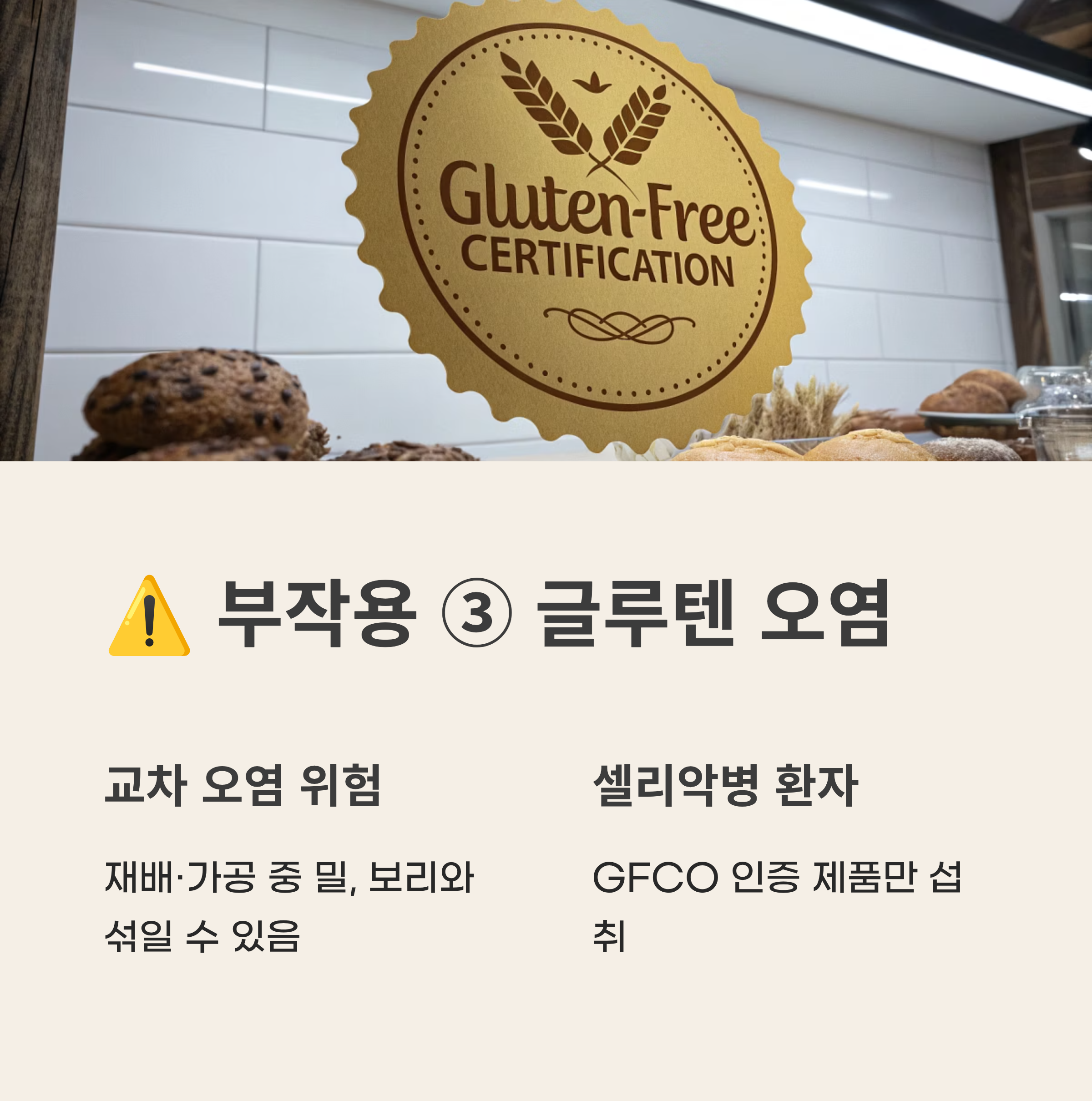 귀리 효능과 부작용 2025 완벽 가이드 – 슈퍼푸드 효능과 숨겨진 함정 총정리!