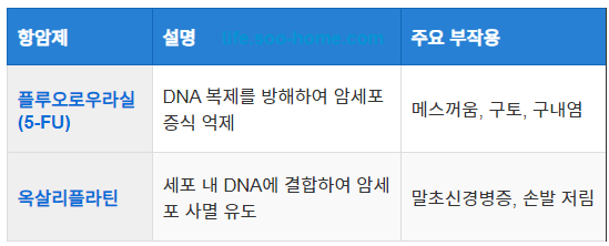 항암화학요법