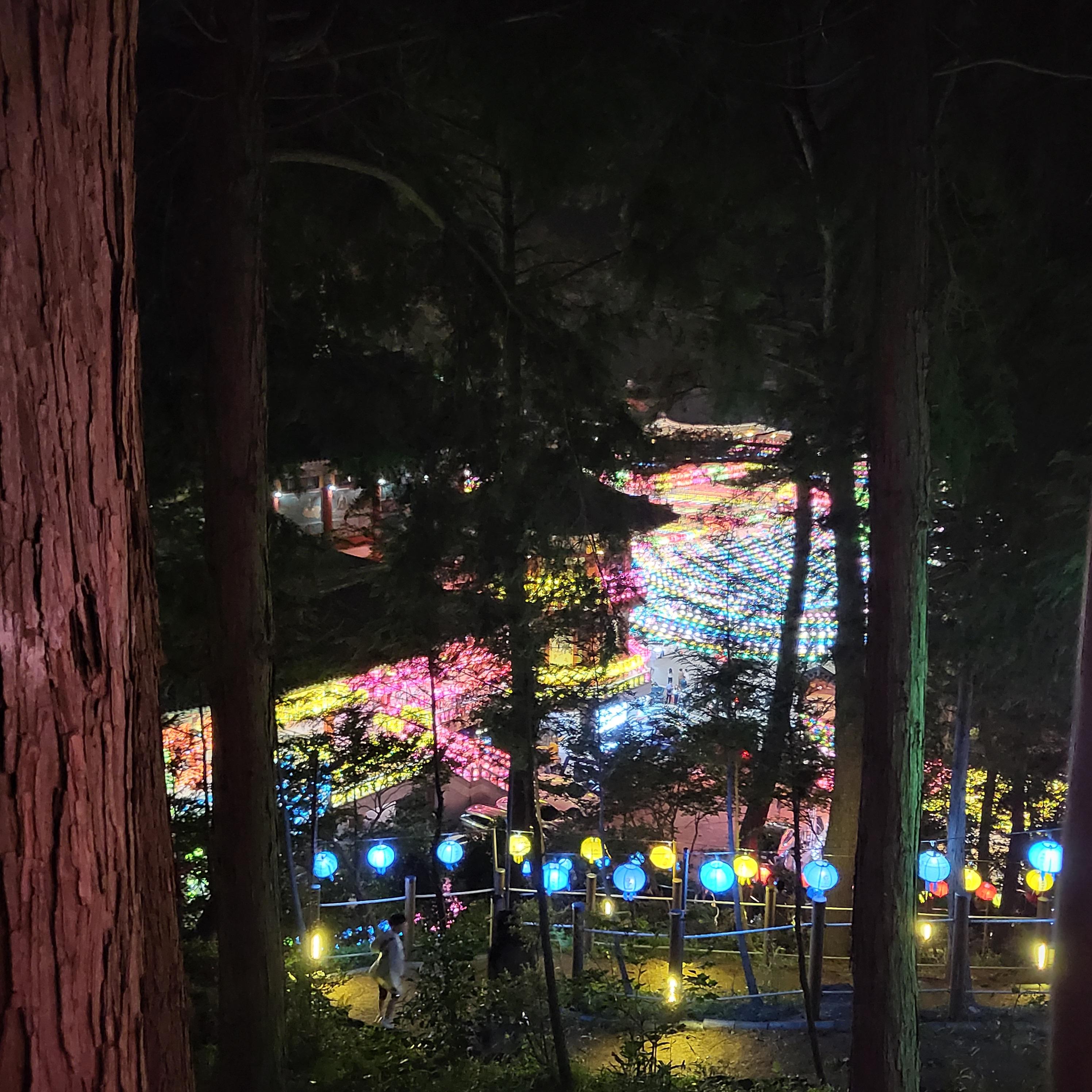 부산 삼광사 연등축제 보러가기