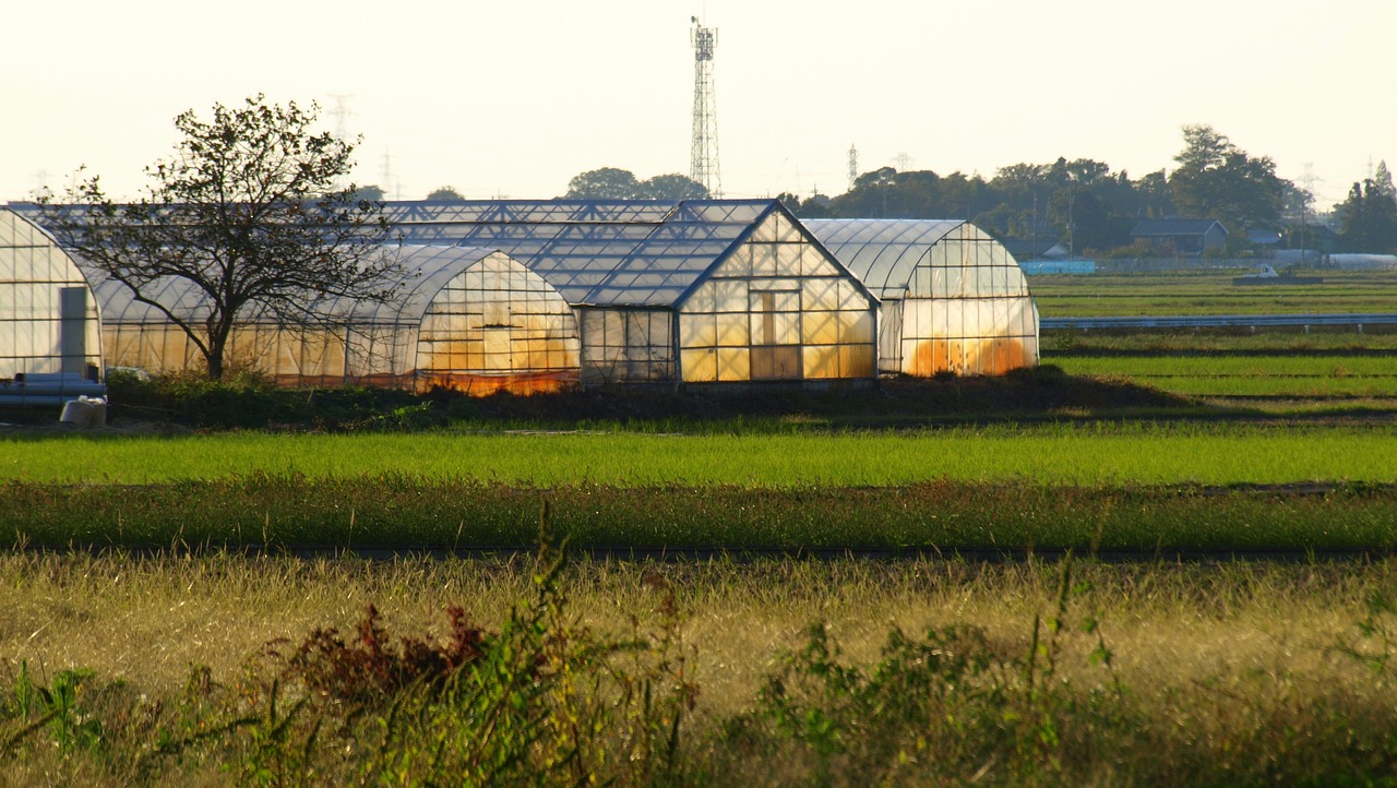 귀농준비시 땅구입 방법 이미지