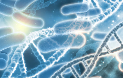 흑사병의 기원 및 원인 알아보기